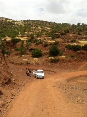 20120531-080736.jpg