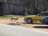 k800_s15