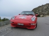 frank-84