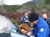 hyvernale-corse-061