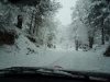 p1000727