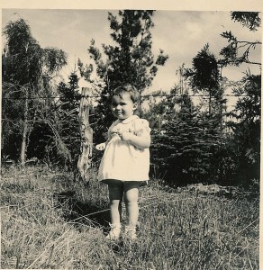 scan0033
